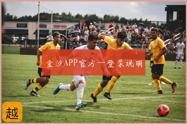 金沙APP官方—登录说明